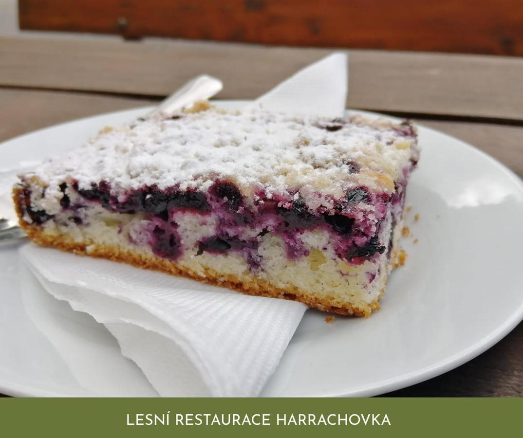 Lesni Restaurace Harrachovka Hotel Tabor Exterior photo